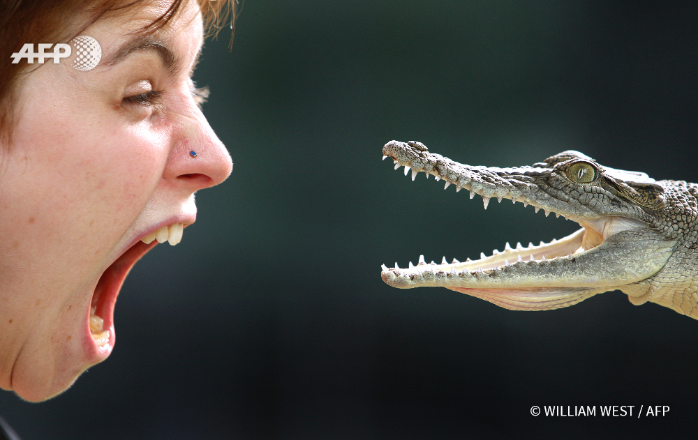 © AFP PHOTO / WILLIAM WEST