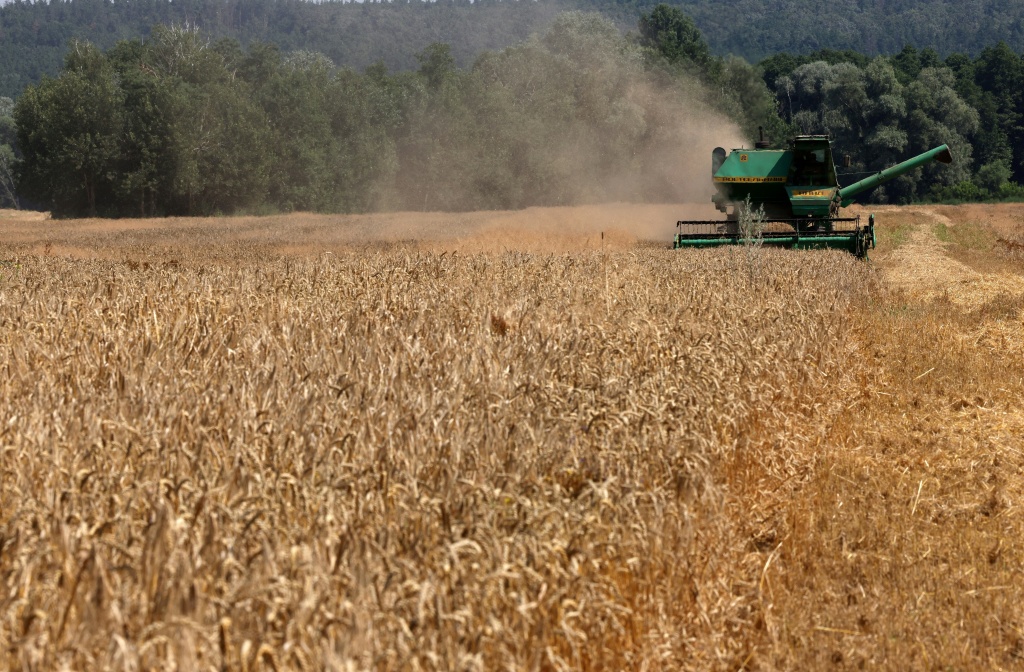 Kyiv 'cannot agree' to EU membership limiting food exports: minister