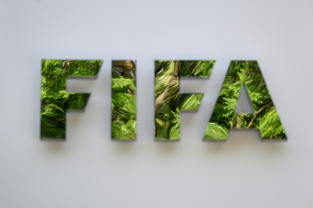 USA to host women's football Club World Cup in 2028 - FIFA