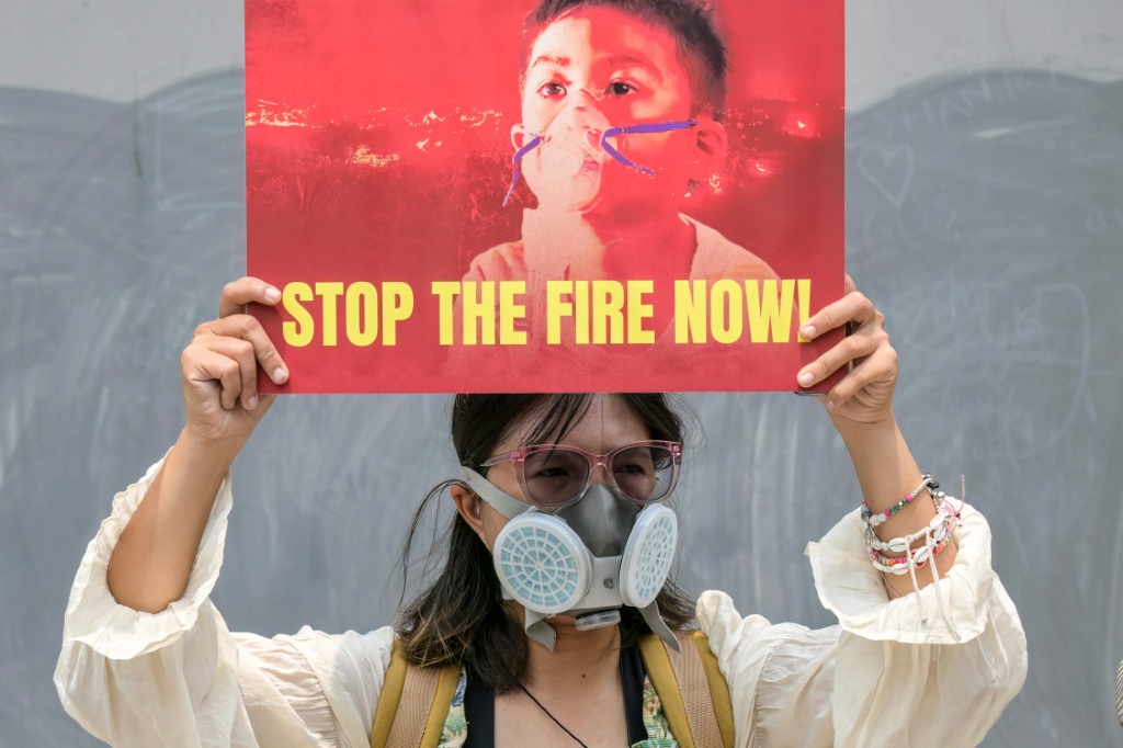 Demonstrators demanded an audit of supply chains linked to Indonesian forest fires — BAY ISMOYO / AFP