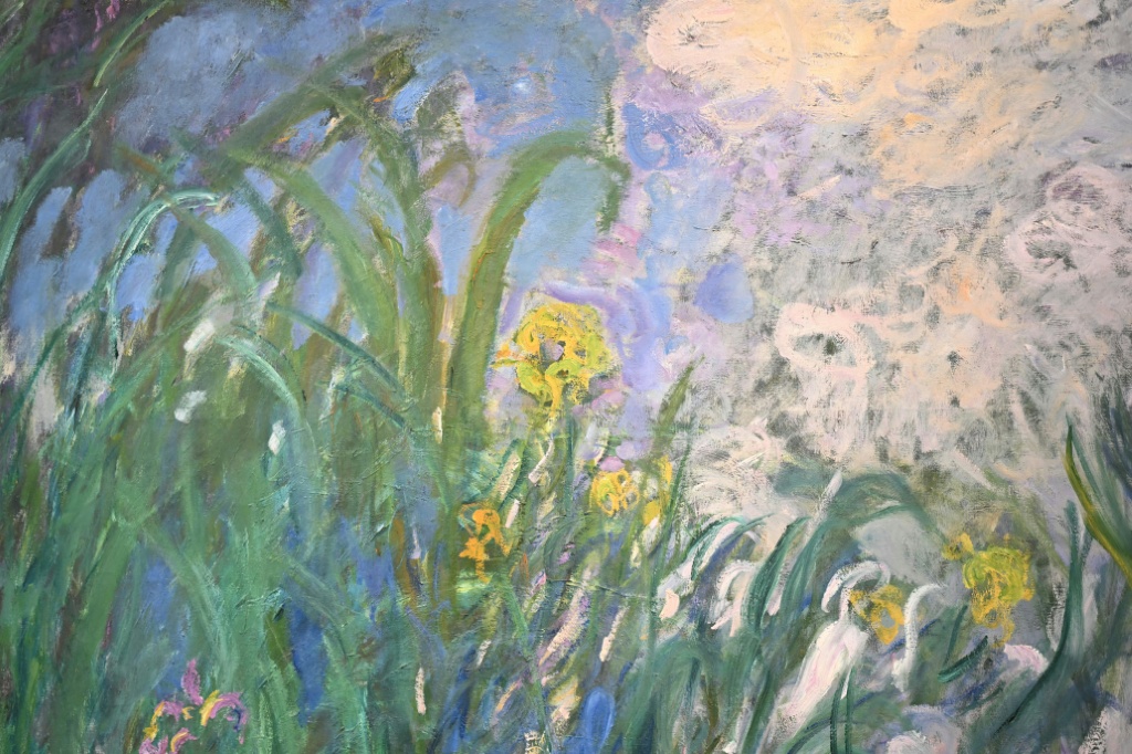 Monet's 'Iris' fetches 50 mn euros at Paris auction