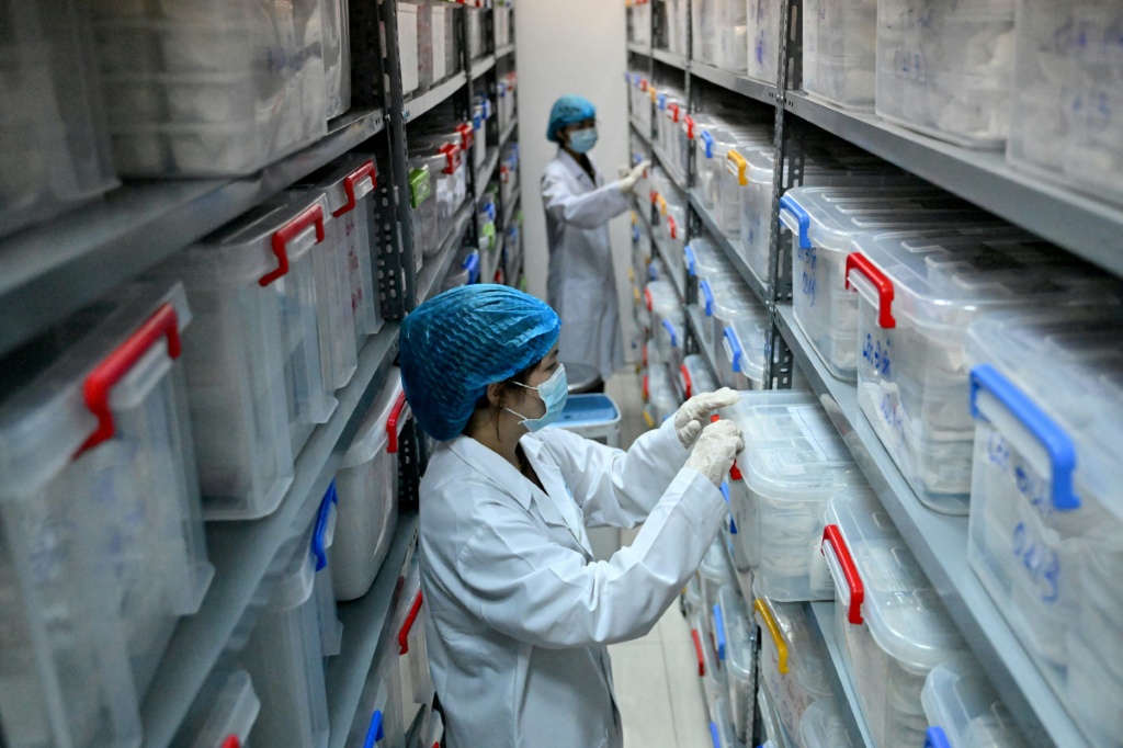 Staff members check boxes in the sample storage room for the remains of fallen soldiers at the Center for DNA Identification (CDI) in Hanoi — Nhac NGUYEN / AFP