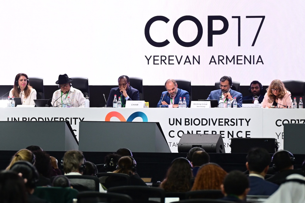 Nations commit to get nature goals back on track