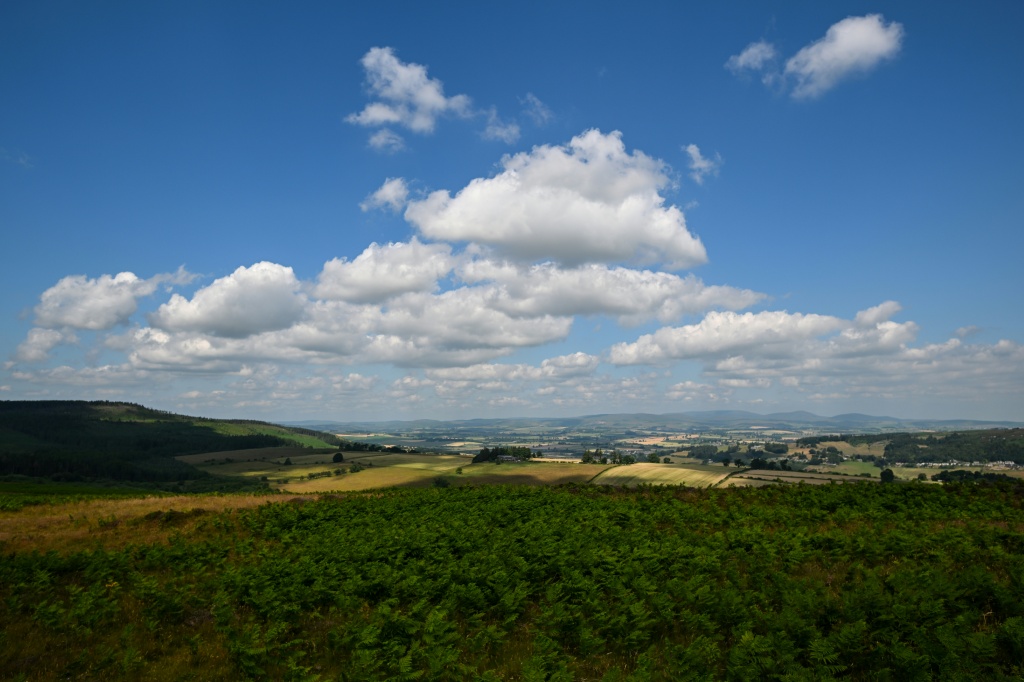 Charity crowdfunds millions to buy historic English estate