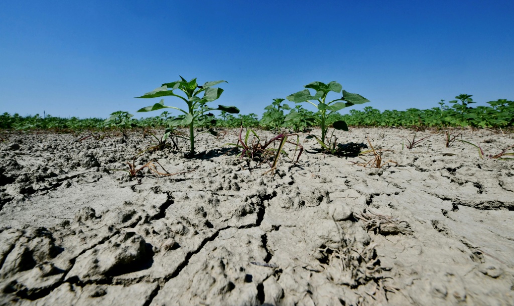 Court to rule on first climate lawsuit against Italian state