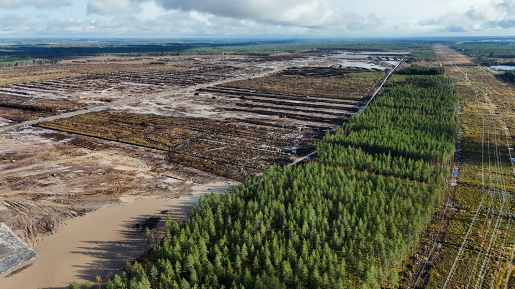 Google told AFP that its tree-felling activities were in compliance with Forestry Act requirements — Alessandro RAMPAZZO / AFP