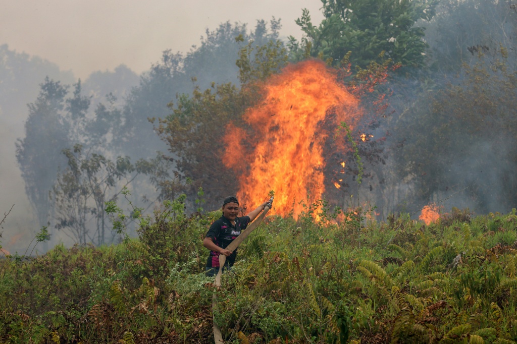 Indonesia fires have burned nearly two million hectares: monitor