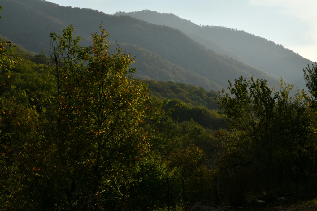Forest destruction tests Armenia-Azerbaijan peace push