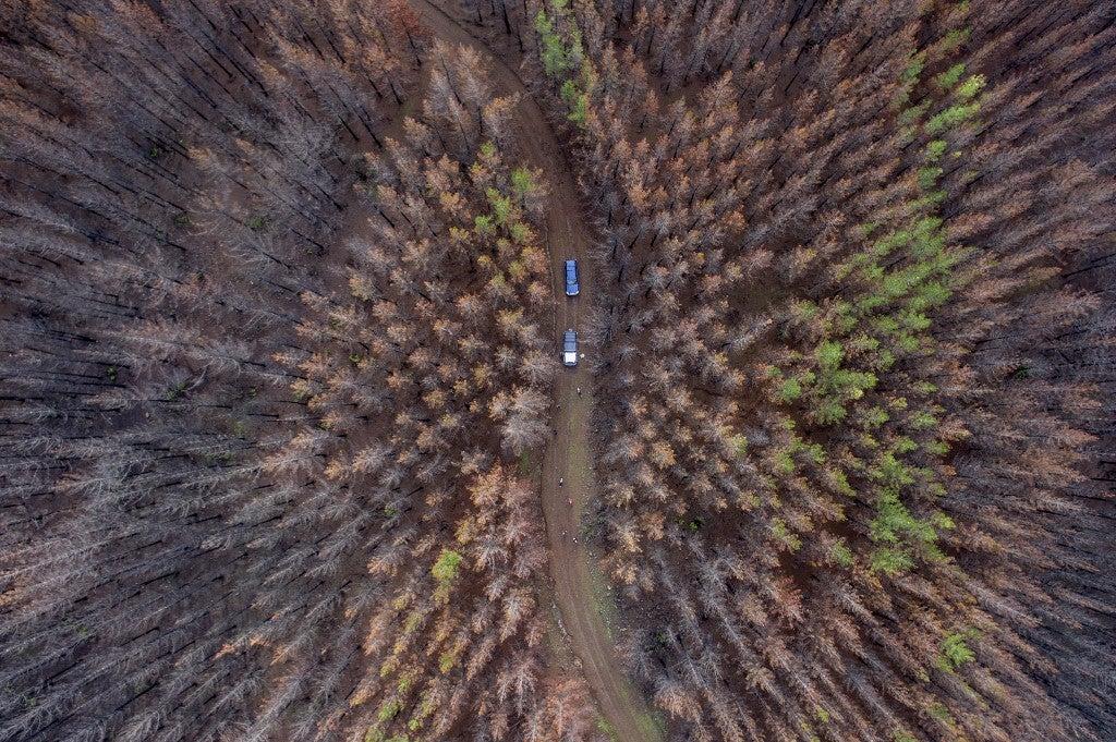 Aerial view of a forest area consumed by a massive fire about 350 kilometres south of Santiago on June 23, 2017. Martin BERNETTI / AFP
