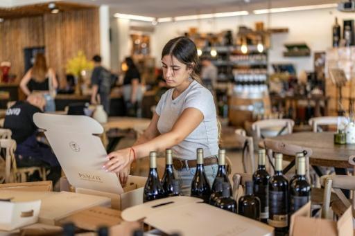 Une employée met en carton des bouteilles de vin dans une exploitation viticole de la colonie israélienne de Shaar Binyamin, au sud-est de Ramallah, le 9 septembre 2026 en Cisjordanie occupée — Ilia YEFIMOVICH / AFP