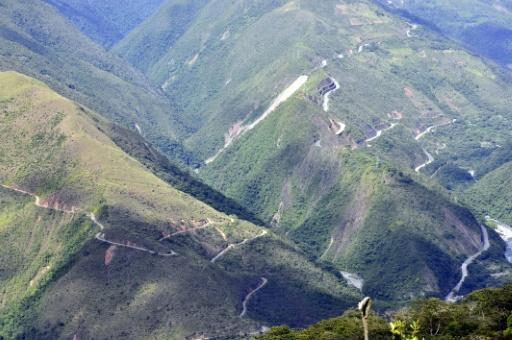 Científicos descubren un nuevo felino salvaje en Bolivia tras más de un siglo