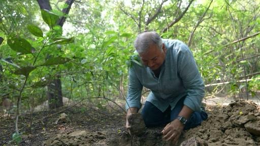 India's 'Tree Father' plants for a greener future