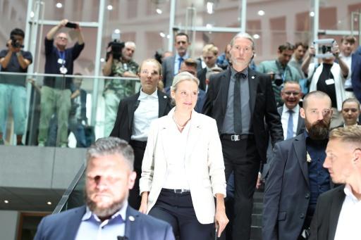 AfD national co-leader Alice Weidel charged that 'no chancellor before has been as unpopular as Friedrich Merz, who has become a major burden on Germany's prosperous development' — Odd ANDERSEN / AFP