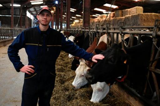 La sécheresse fait bouillir l'éternelle bataille du prix du lait