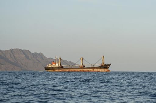 A ship in the Bab al-Mandab strait, which Iran-backed Houthi rebels in Yemen now say they control — - / AFP
