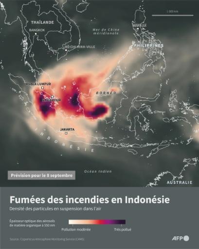 Carte montrant les fumées prévues le 8 septembre au dessus de l'île de Bornéo et l'Asie du Sud Est, selon les données d'aérosols de matière organique du service européen Coperncus de surveillance de l'atmosphère (Cams) — Nicholas SHEARMAN / AFP