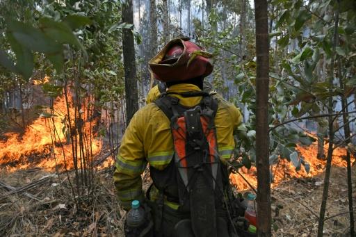 Un bombero trabaja para controlar un incendio en la ladera sur del cerro Casitagua, en el norte de Quito, el 18 de septiembre de 2026 — Rodrigo BUENDIA / AFP
