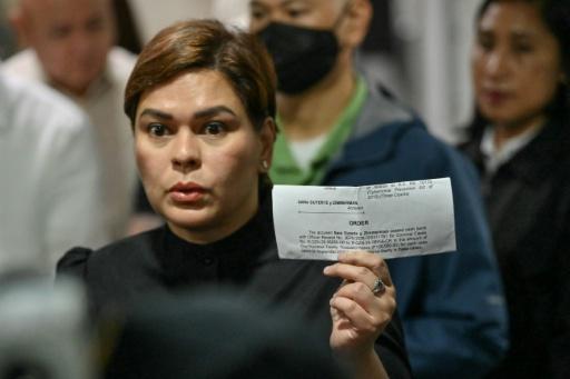 A criminal conviction for 'grave threats' carries a jail term of up to six months — Ted ALJIBE / AFP