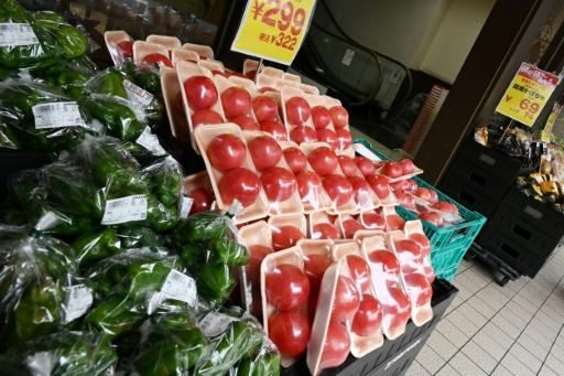 Bank of Japan hikes rates to 31-year high to battle inflation