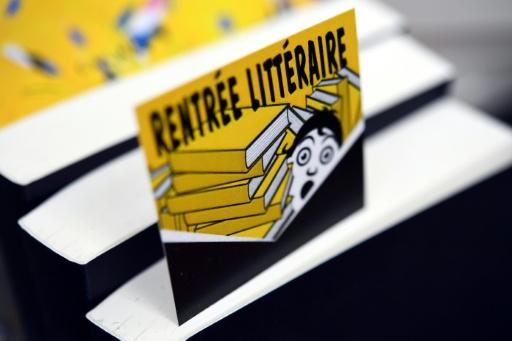 Fred TANNEAU / AFP