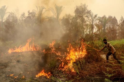 Indonesia haze spikes Singapore pollution, shuts East Timor schools